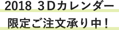 2018 3Dカレンダー限定ご注文承り中！